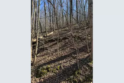 3366 Crippled Oak Trail, Jasper, GA 30143 - Photo 12