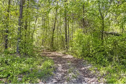 225 Hamrick Road, Bremen, GA 30110 - Photo 40