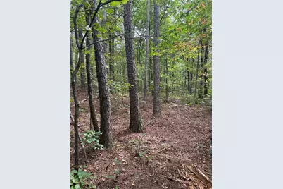 3834 Salacoa-Tract B, Waleska, GA 30183 - Photo 2