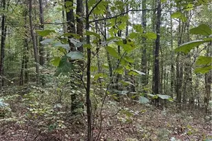 3826 Salacoa-Tract C, Waleska, GA 30183 - Photo 1