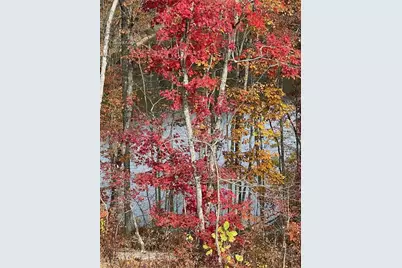 413 Solace Place, Canton, GA 30114 - Photo 8