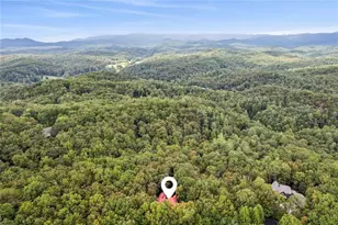 641 Dover Highlands Trl, Ellijay, GA 30540 - Photo 56