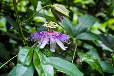 641 Dover Highlands Trail, Ellijay, GA 30540 - Photo 76