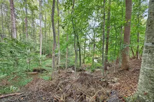 2901 Tree Top Rd, Dacula, GA 30019 - Photo 92