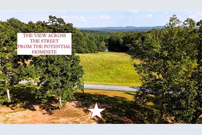 428 Snote Jones Road, Dallas, GA 30132 - Photo 8