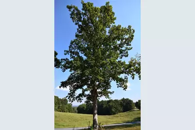 428 Snote Jones Road, Dallas, GA 30132 - Photo 20