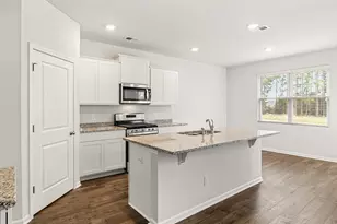 229 Lauritsen Way, Newnan, GA 30265 - Photo 4