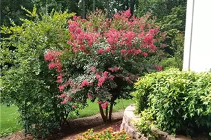 435 Old Holly Rd, Roswell, GA 30075 - Photo 80