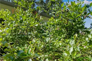 435 Old Holly Rd, Roswell, GA 30075 - Photo 60