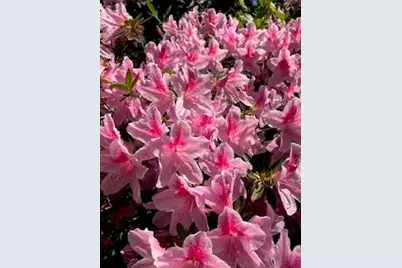 435 Old Holly Road, Roswell, GA 30075 - Photo 16