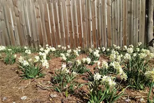 435 Old Holly Rd, Roswell, GA 30075 - Photo 90