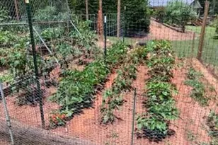 435 Old Holly Rd, Roswell, GA 30075 - Photo 86