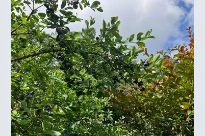 435 Old Holly Road, Roswell, GA 30075 - Photo 76