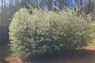 435 Old Holly Rd, Roswell, GA 30075 - Photo 78