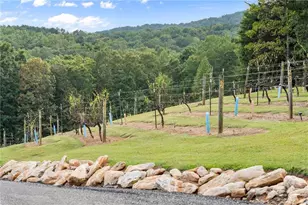 62 High Ridge, Cleveland, GA 30528 - Photo 56