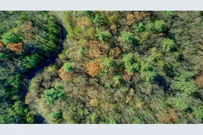 5566 Red Fox Lane, Big Canoe, GA 30143 - Photo 12