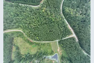 0 Jacks Hat Road, Elberton, GA 30635 - Photo 8