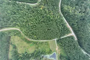 0 Jacks Hat Rd, Elberton, GA 30635 - Photo 8