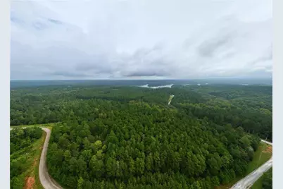 0 Jacks Hat Road, Elberton, GA 30635 - Photo 6