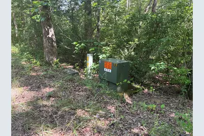 1038 Wilkins Cove Road, Suches, GA 30572 - Photo 58