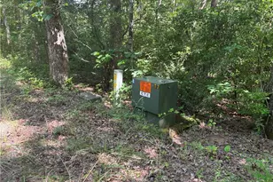 1038 Wilkins Cove Rd, Suches, GA 30572 - Photo 58