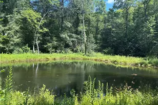 1038 Wilkins Cove Rd, Suches, GA 30572 - Photo 56