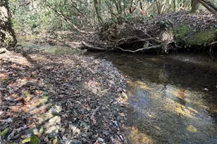 1038 Wilkins Cove Rd, Suches, GA 30572 - Photo 84