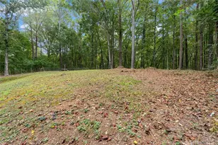 2915 Wilkes Plantation Way, Douglasville, GA 30135 - Photo 24