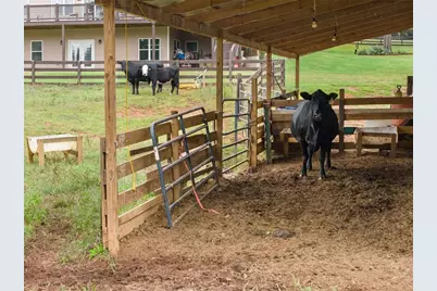 8081 Mud Creek Road, Alto, GA 30510 - Photo 72