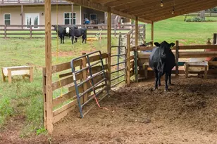 8081 Mud Creek Rd, Alto, GA 30510 - Photo 72