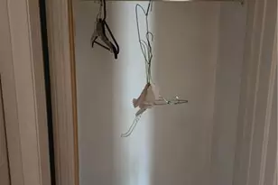 4685 Cedar Park Trail, Stone Mountain, GA 30083 - Photo 6