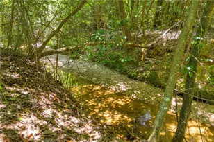 869 Ankerich Rd, Bowersville, GA 30516 - Photo 30