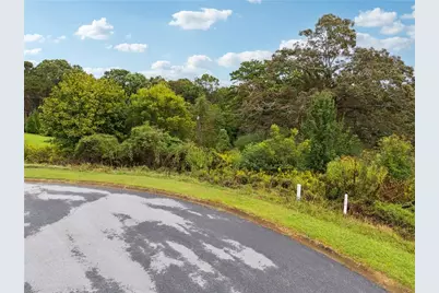 1132 Sydney Lane, Demorest, GA 30535 - Photo 4