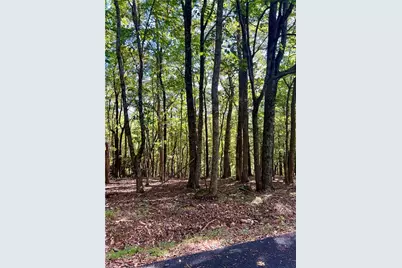 402 South View Trail, Jasper, GA 30143 - Photo 2