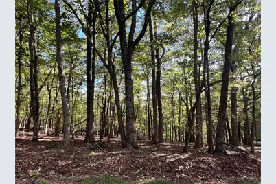 402 South View Trail, Jasper, GA 30143 - Photo 1