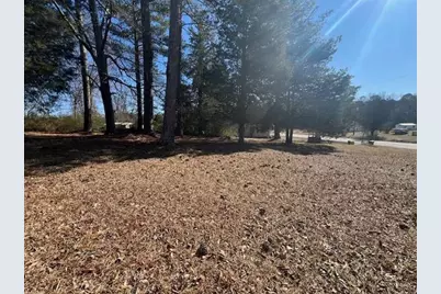 000 Westminster Way, Dallas, GA 30132 - Photo 8