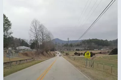 574 Bachelors Button Drive, Clayton, GA 30525 - Photo 22