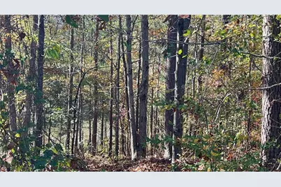 3412 Kinsley Court, Conyers, GA 30094 - Photo 16