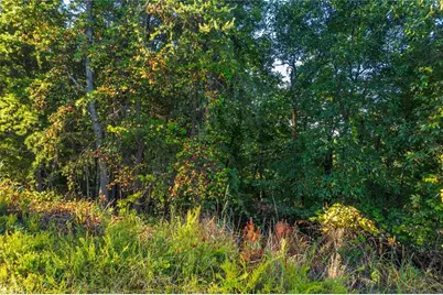 248 Stirratt Road, Ranger, GA 30734 - Photo 2