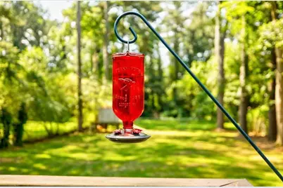 2343 Hunting Valley Drive, Decatur, GA 30033 - Photo 54