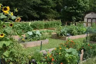 8515 Lake Dr, Snellville, GA 30039 - Photo 56