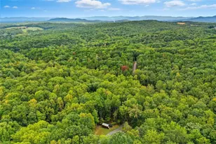 415 Woods Rd, Talking Rock, GA 30175 - Photo 26