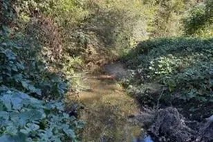 1255 Norton Rd NE, Conyers, GA 30012 - Photo 18