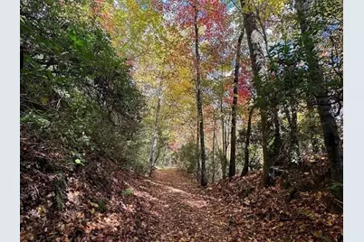 130 Cove View Lane, Clarkesville, GA 30523 - Photo 24