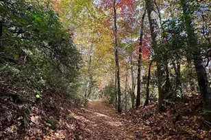 130 Cove View Ln, Clarkesville, GA 30523 - Photo 24