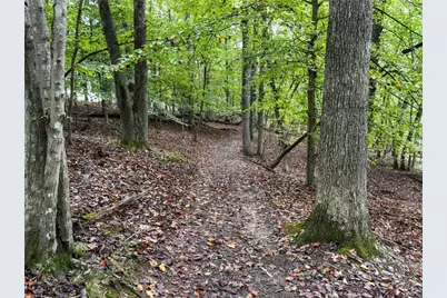 45 Lakepoint Drive, Dawsonville, GA 30534 - Photo 66