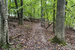 45 Lakepoint Dr, Dawsonville, GA 30534 - Photo 66