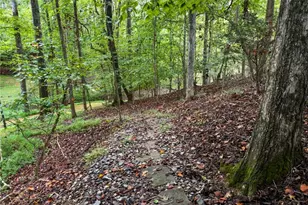 45 Lakepoint Dr, Dawsonville, GA 30534 - Photo 66