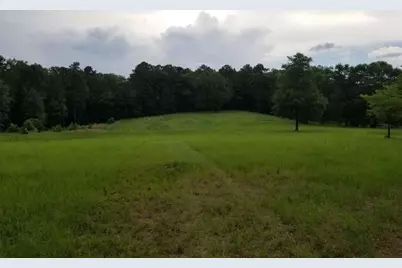 509 Brushy Creek Circle, Jackson, GA 30233 - Photo 6