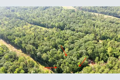 237 Anthems Dr., Sparta, GA 31087 - Photo 1